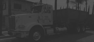 Asbestos Transportation and Disposal Services